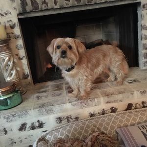 Meet your Posher, Sam